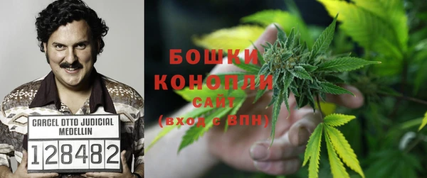 мяу мяу мука Дмитриев