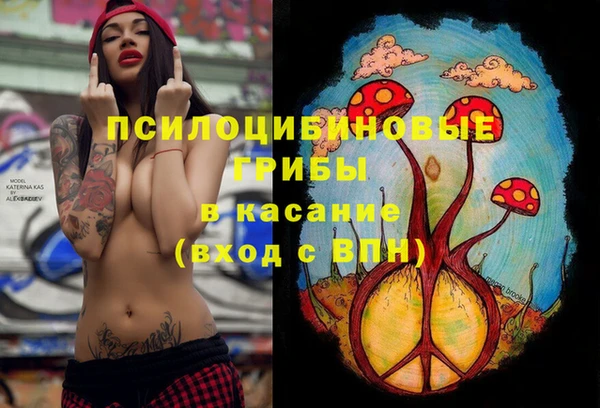 мяу мяу мука Дмитриев