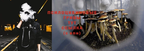 а пвп мука Дмитров
