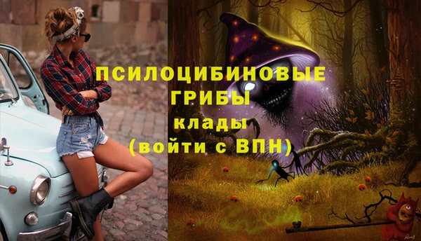 не бодяженный Ельня