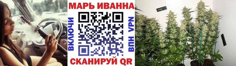 Купить  Славгород  МАРИХУАНА планчик 